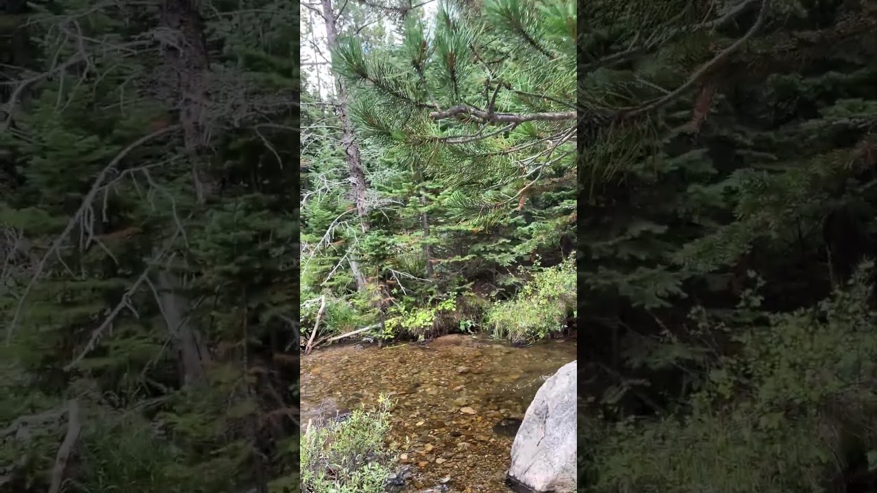 Everyone Rushes This Trail — Don’t 🍂