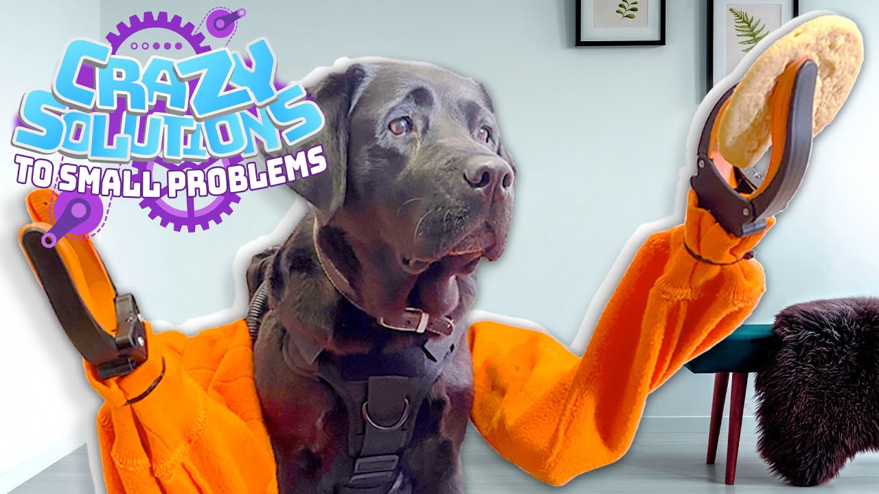 We Invented Working Robotic Arms for Dogs | CRAZY SOLUTIONS TO