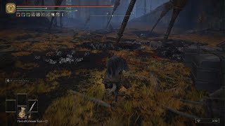 ELDEN RING easily beat margit rematch