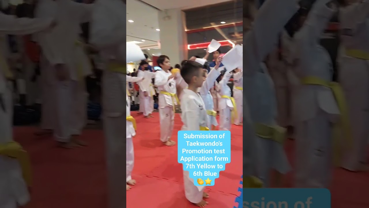 TAEKWONDO'S PROMOTION TEST FROM 7TH YELLOW TO 6TH RANK BLUE 