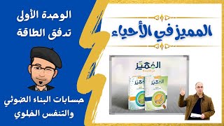 حسابات كالفن والتنفس الهوائي والتخمر