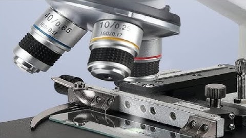 Vabiooth Dual View Compound Monocular Microscope 40X 2500X Magnification Review, Awesome  Scope