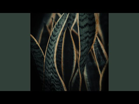Music Video Preview
