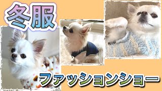 【犬の冬服ファッションショー】うざめ解説付☆　♯6