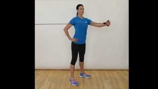Reverse Fly (Band) - Standing/Single Arm