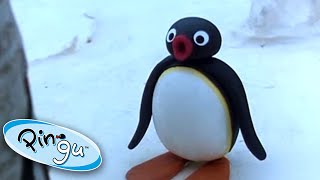 Pingus Big Trip Pingu Official Cartoons For Kids