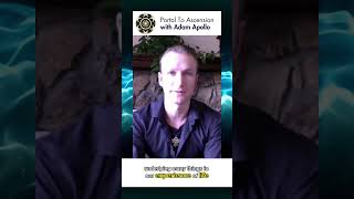 Adam Apollo's Quantum Journey & Uncovering The Truth #shorts