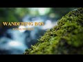 Wandering Boy - Daniel Sherrill, video taken at small, yet beautiful waterfall
