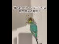生後10ヶ月のふくちゃんの様子