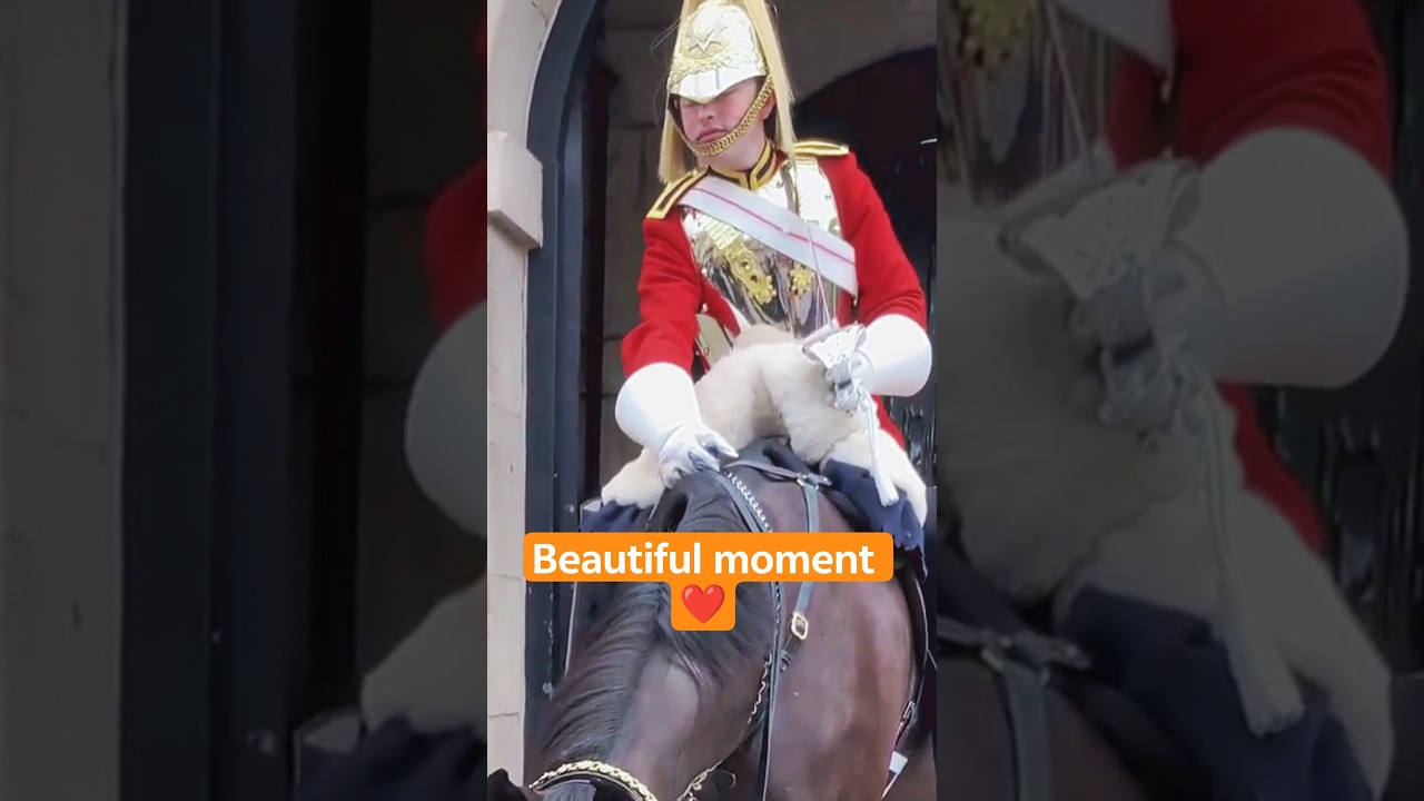 Beautiful moment 🥰 