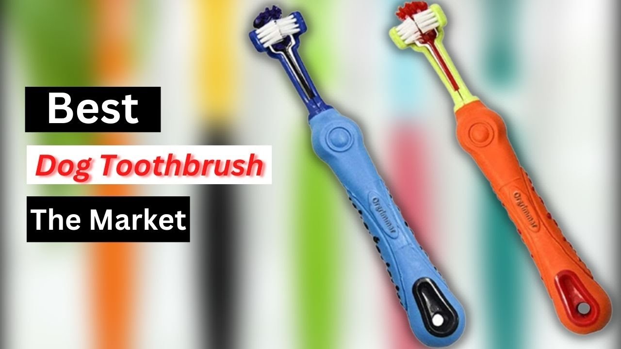 Best Dog Toothbrush On The Market In 2023 Top 5 Best Dog Toothbrush
