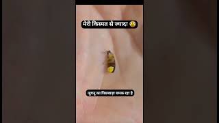 Meri kismat se Jyada Jugnu ka Pichhwada chamak raha raha hai #comedy #ytshorts #shorts #navinshah44