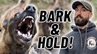 EASY Bark & Hold Training W/ NO HELPER!