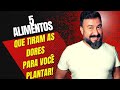 Cinco Alimentos que tiram as dores, para você plantar em casa/AO VIVO