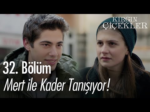 Mert ile Kader tanışıyor! - Kırgın Çiçekler 32. Bölüm