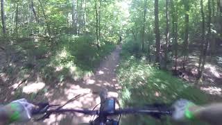 Beech fork