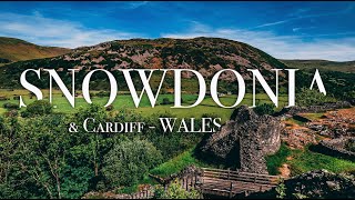 Snowdonia, Wales (& a bit of Cardiff) - May 2023 - sheep, hills, castles, history!