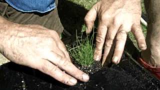 How to make your own earthboxes part 2.avi