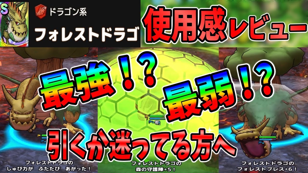 ドラクエタクト 本当に最強なのか フォレストドラゴを狙っている方へ使用感をお伝えします Youtube
