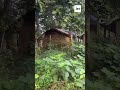 অজয়পাড়ের গোলক । Golok - Campground in Ajoy riverbank #campinglife #campground #picnicspot