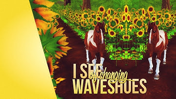 SSO - Twenty Something - Judith Silverhill