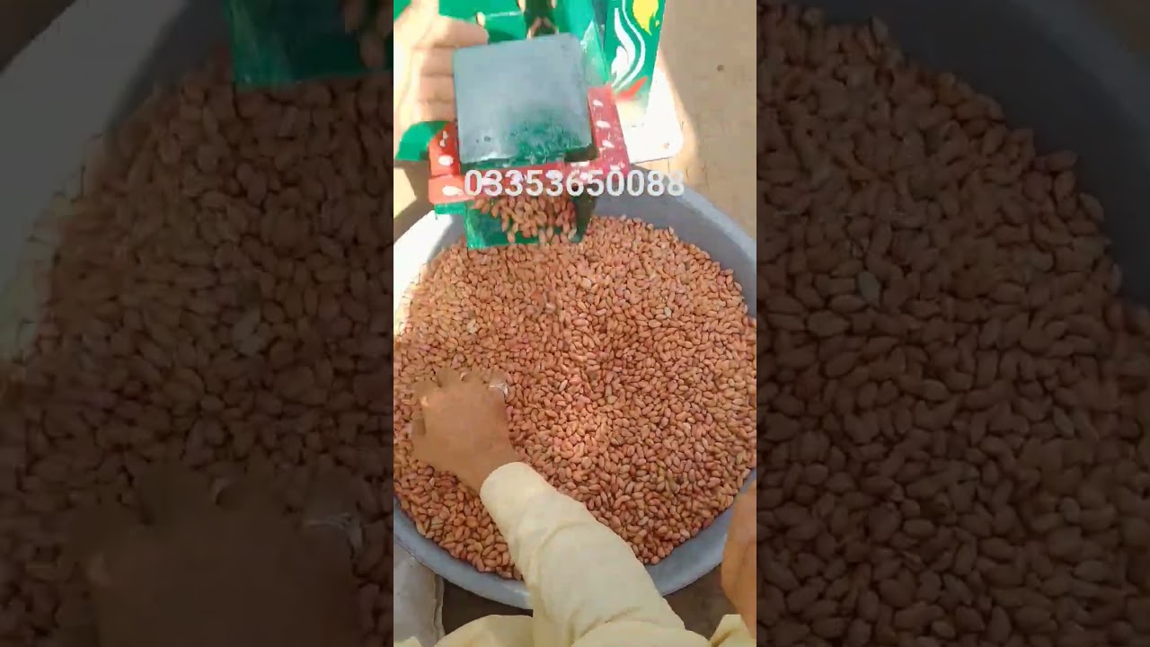 Peanut sheller Machine 03353650088