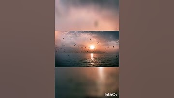 سوره الكوثر 🎧اسلام صبحي