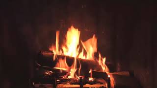 Sen Hiçmi Bahar Görmedin ?