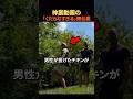 神業動画のくだらなすぎる舞台裏