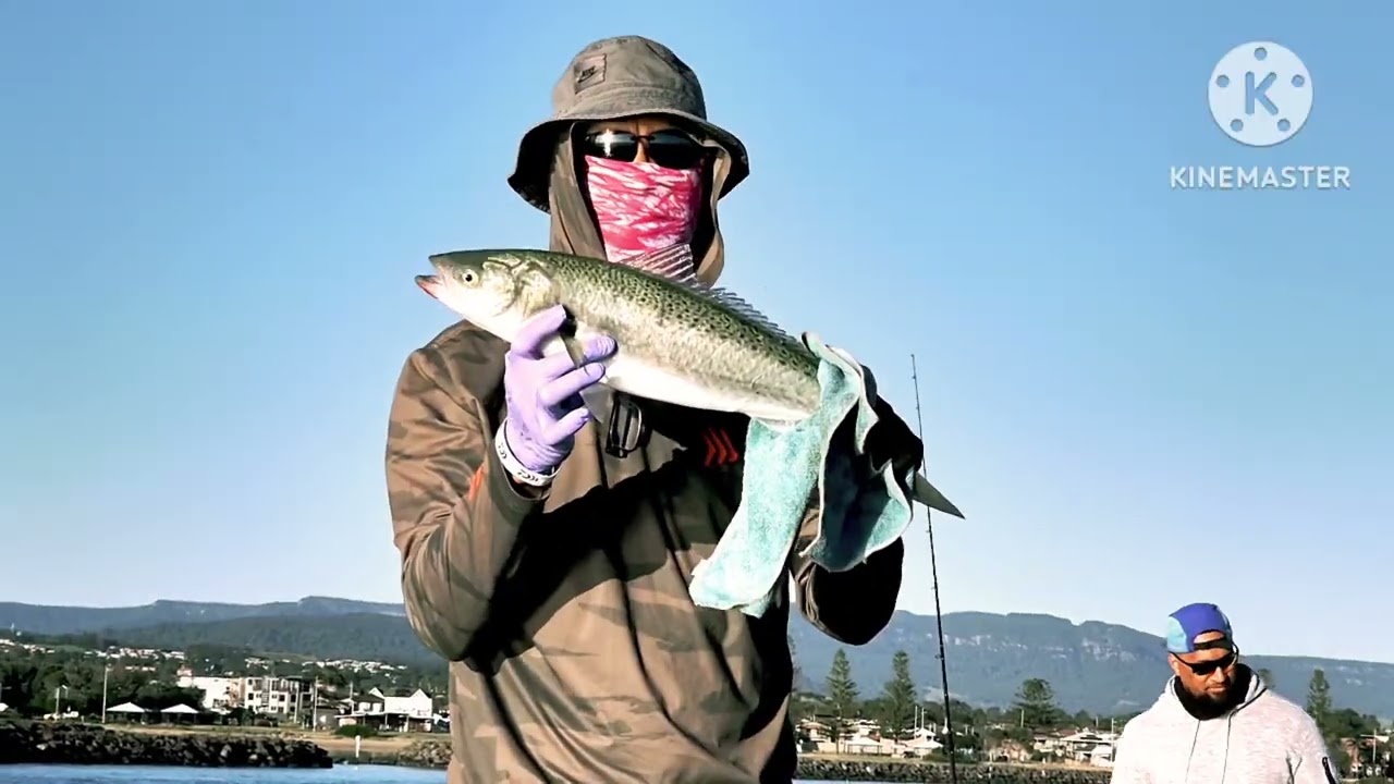 BACK IN WINDANG /3 HOUR FISHING SESSION NSW ###@kidmarino
