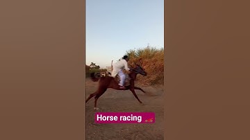 Horse racing #horse #funny #english #comedy