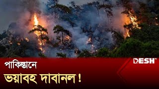 ভারতে হিটস্ট্রোকে হু হু করে বাড়ছে মৃত্যু, যা বলছেন বিশেষজ্ঞরা | Climate Change | News | Desh TV