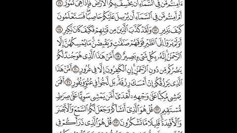 سورة الملك من قوله تعالى (أولم يروا إلى الطير فوقهم صافات ويقبضن)