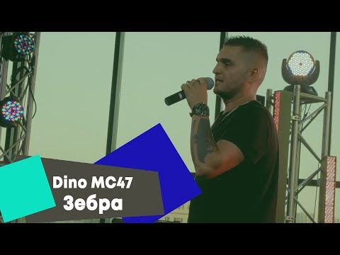Dino MC47 - Зебра