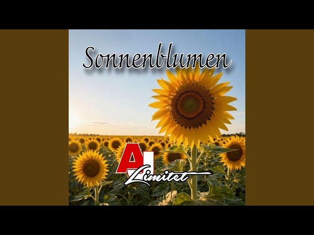 Sonnenblumen