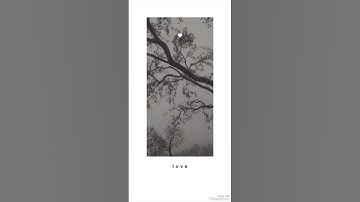 تلاوة هادئة - آمن الرسول بما أنزل إليه من ربه والمؤمنون - || إبداع زهرة العمر