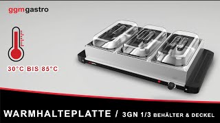 Warmhalteplatte - inkl. 3 GN 1/3 Behälter & Deckel - WHPVGN - GGM Gastro Warmhalteplatte - inkl. 3 GN 1/3 Behälter & Deckel - WHPVGN - GGM Gastro