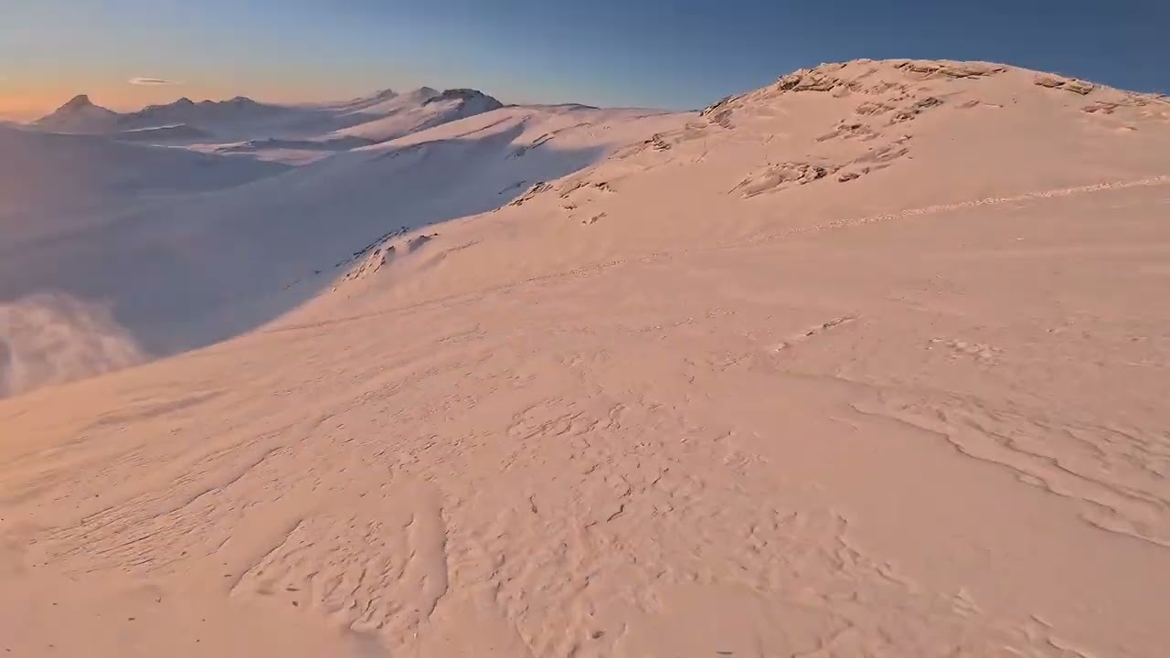 Jarlhettur 29 des 2024