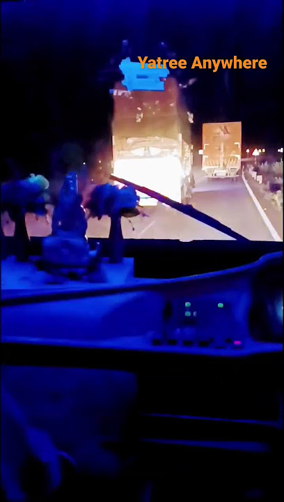7 Baby Shark 'Bus Horn' Sound Variations in 60 Seconds