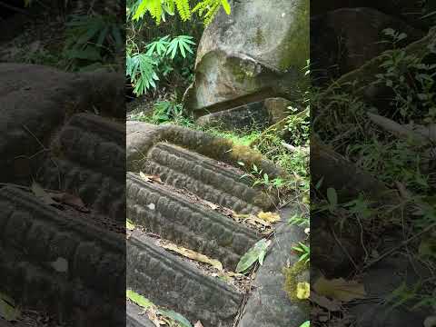 Serpent carvings at Vat Phou — dating questions | Secrets in Stone