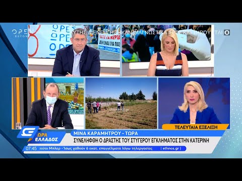 Συνελήφθη ο δράστης του στυγερού εγκλήματος στην Κατερίνη | Ώρα Ελλάδος 17/6/2021 | OPEN TV