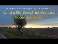 10 Minutes of Tranquil Dutch Scenery: Relaxing Bird Sounds for Sleep and Focus (Loopable)
