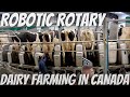 Touring A Farm With A Robotic Rotary Milking Parlor
