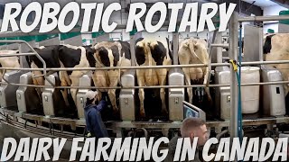 Touring a Farm With a Robotic Rotary Milking Parlor!