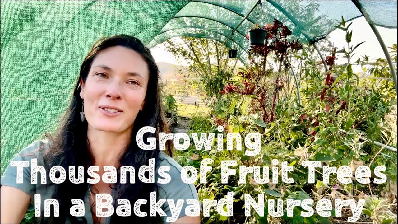 Ultra simple backyard nursery set-up that saved me thousands of dollars! 🪴🪴🪴