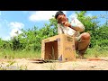 Amazing Quick Cemani Chickens Using Big Paper Box and Snare Trap - Simple DIY Bird Trap 100%