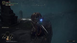 Elden Ringle Bestemmie.