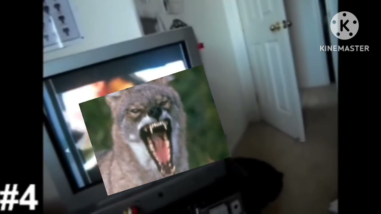 Y-The-Creator's SJTG's G-major Scary Nightmares (Part 1)