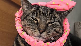 Heywise Is A Cool Mom