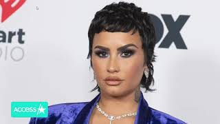 Demi Lovato Thanks Lizzo For Correcting Photog Who Misgendered Them! Demi is so happy!